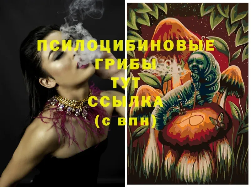 shop формула  Катайск  Псилоцибиновые грибы MAGIC MUSHROOMS  где можно купить наркотик  мега tor 